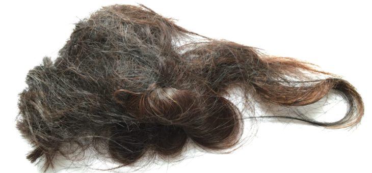 9/13・お風呂で髪がくっついた・抗がん剤投与後15日め